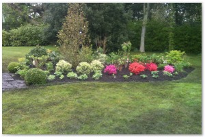 Shrub border refurbishment with extensive replanting